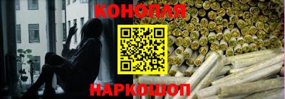 гашик Гусев