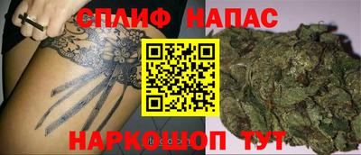 гашик Гусев
