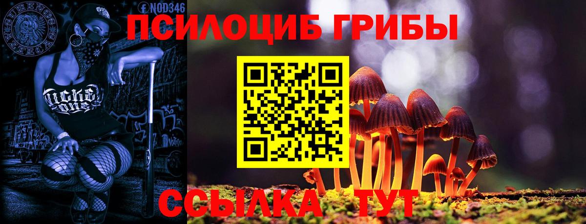 Галлюциногенные грибы Cubensis Новосибирск