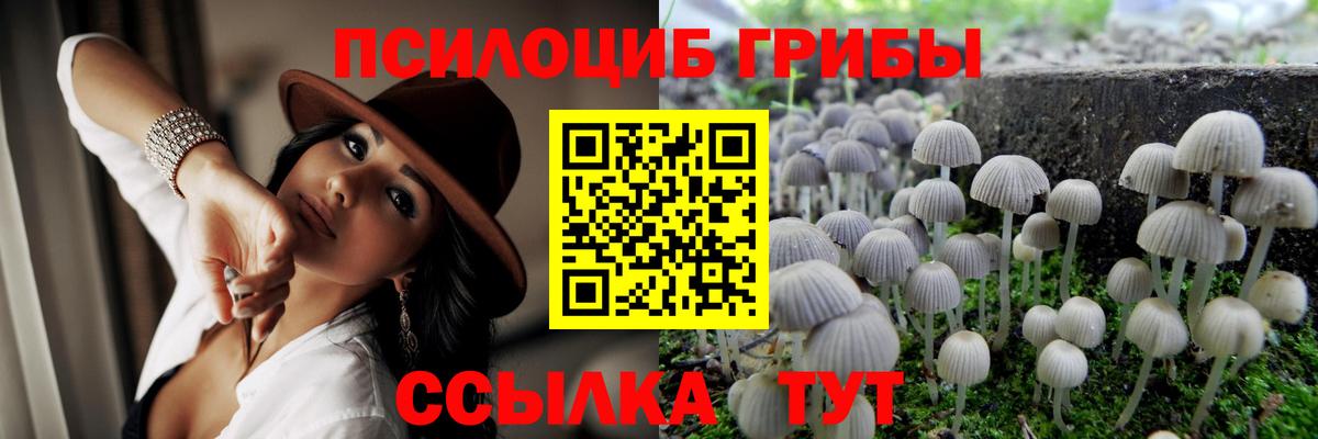 Галлюциногенные грибы Magic Shrooms  Псилоцибиновые грибы мухоморы  Вход с VPN  Новосибирск 